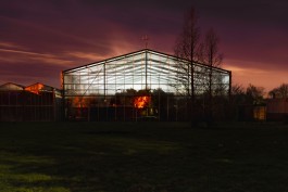 Fotografie Groningen | Nathalie Schram Photography