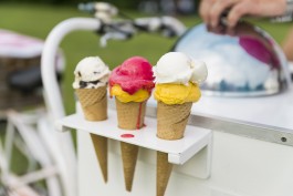 Fotografie Groningen | Nathalie Schram Photography