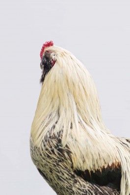 Fotografie Groningen | Nathalie Schram Photography