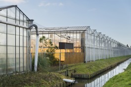 Fotografie Groningen | Nathalie Schram Photography