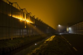 Fotografie Groningen | Nathalie Schram Photography