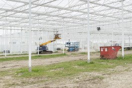 Fotografie Groningen | Nathalie Schram Photography