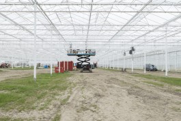 Fotografie Groningen | Nathalie Schram Photography