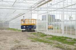 Fotografie Groningen | Nathalie Schram Photography