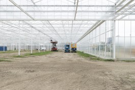 Fotografie Groningen | Nathalie Schram Photography