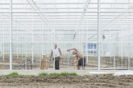 Fotografie Groningen | Nathalie Schram Photography