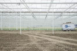 Fotografie Groningen | Nathalie Schram Photography