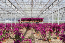 Fotografie Groningen | Nathalie Schram Photography