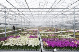 Fotografie Groningen | Nathalie Schram Photography