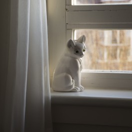 Fotografie Groningen | Nathalie Schram Photography